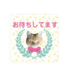 りん太のスタンプ（個別スタンプ：24）