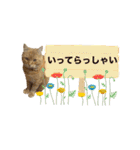 りん太のスタンプ（個別スタンプ：25）