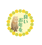 りん太のスタンプ（個別スタンプ：30）