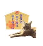 りん太のスタンプ（個別スタンプ：32）