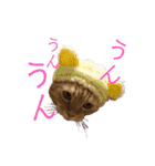 りん太のスタンプ（個別スタンプ：38）