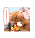 ちゃー吉（個別スタンプ：18）