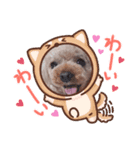 ちこプー（個別スタンプ：3）