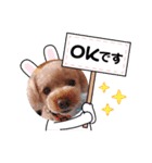 ちこプー（個別スタンプ：4）