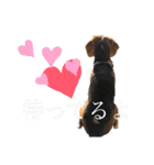 ネコ型イヌット（個別スタンプ：11）