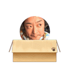 KAZたんぷ（個別スタンプ：10）