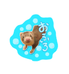 影千代と五右衛門（個別スタンプ：2）