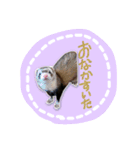 影千代と五右衛門（個別スタンプ：4）