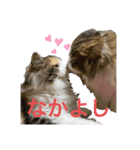 もこリコねこと仲間たち（個別スタンプ：10）