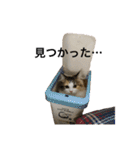 もこリコねこと仲間たち（個別スタンプ：32）