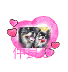 可愛い犬スタンプ！（個別スタンプ：5）