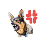 可愛い犬スタンプ！（個別スタンプ：16）