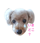 ぼくはジル（個別スタンプ：1）