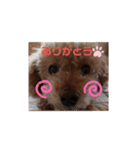 ぼくはジル（個別スタンプ：2）