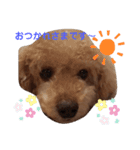ぼくはジル（個別スタンプ：3）