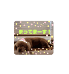 ぼくはジル（個別スタンプ：7）
