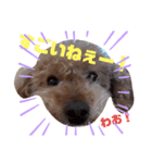 ぼくはジル（個別スタンプ：8）