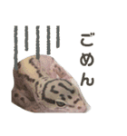 レオパ・ヒョウモントカゲモドキ会話（個別スタンプ：10）