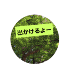 レオパ・ヒョウモントカゲモドキ会話（個別スタンプ：15）