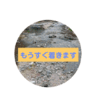 レオパ・ヒョウモントカゲモドキ会話（個別スタンプ：21）