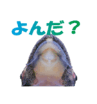 オトシン集-③（個別スタンプ：8）