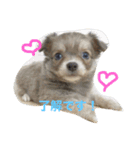 JERRY♡（個別スタンプ：1）