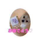 JERRY♡（個別スタンプ：4）