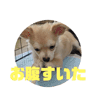 JERRY♡（個別スタンプ：14）