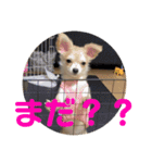 JERRY♡（個別スタンプ：15）