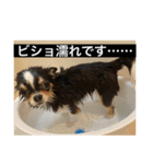 蘭ちゃんのランラン日和（個別スタンプ：2）