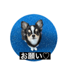 蘭ちゃんのランラン日和（個別スタンプ：4）