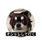 丸ちゃんの戯言（個別スタンプ：2）