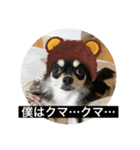 丸ちゃんの戯言（個別スタンプ：3）