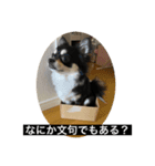 丸ちゃんの戯言（個別スタンプ：6）