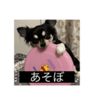 丸ちゃんの戯言（個別スタンプ：7）