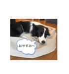 ルークくんww（個別スタンプ：1）