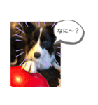 ルークくんww（個別スタンプ：2）