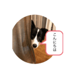 ルークくんww（個別スタンプ：5）