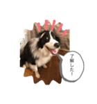 ルークくんww（個別スタンプ：7）