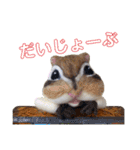 にわのえほん#1（個別スタンプ：20）