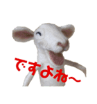 にわのえほん#1（個別スタンプ：21）
