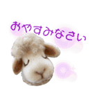 にわのえほん#1（個別スタンプ：36）