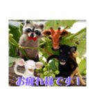 にわのえほん#1（個別スタンプ：39）