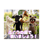 にわのえほん#1（個別スタンプ：40）