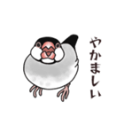 文鳥三昧～桜＆白文鳥～（個別スタンプ：18）