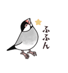 文鳥三昧～桜＆白文鳥～（個別スタンプ：20）