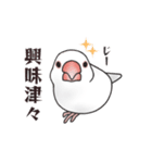 文鳥三昧～桜＆白文鳥～（個別スタンプ：31）