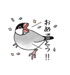 文鳥三昧～桜＆白文鳥～（個別スタンプ：37）