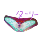 キャタピーとバタフリーと伝説（個別スタンプ：11）