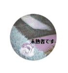 鳥さんからのメッセージ（個別スタンプ：6）